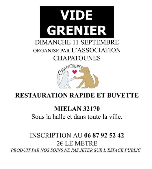 Chapatounes vide greniers.jpg