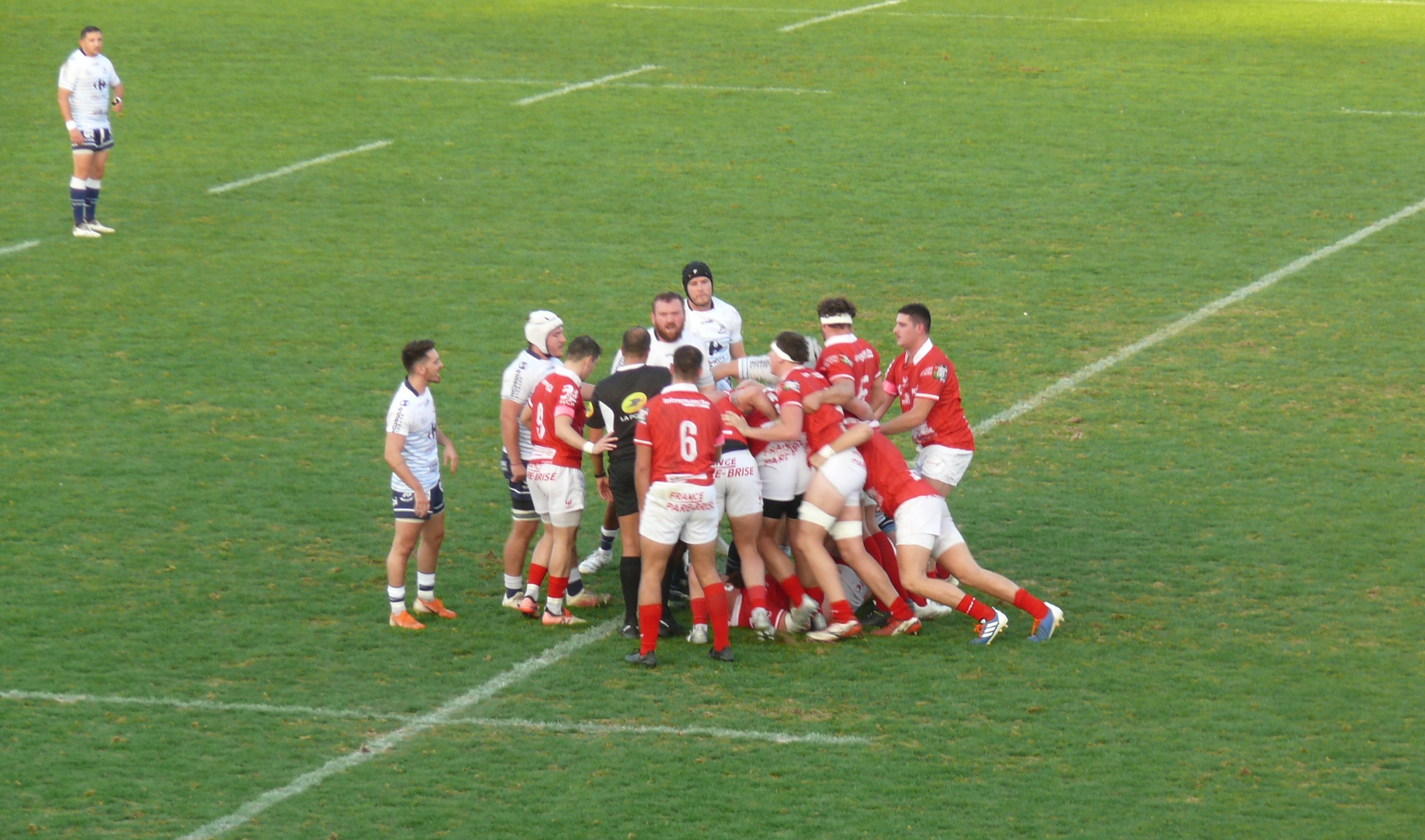 P1780844.JPG