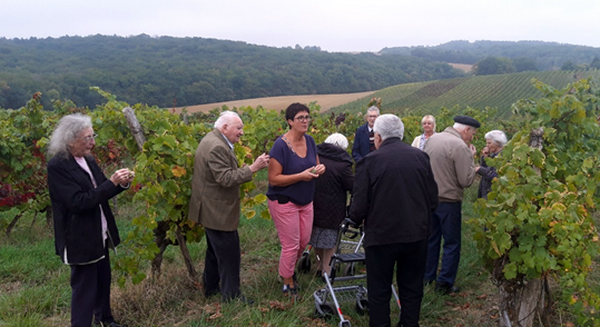 ehpad vigne 2.jpg