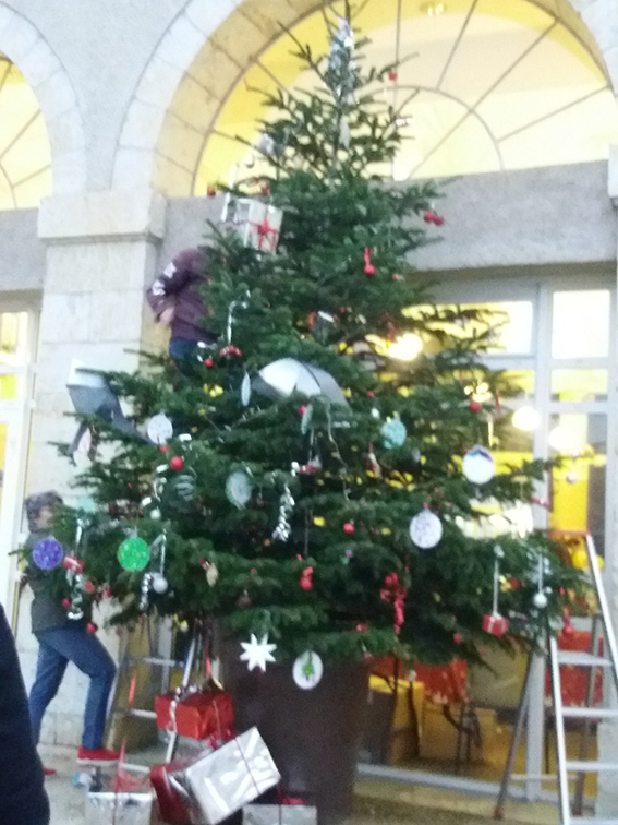 castera noel (1).jpg