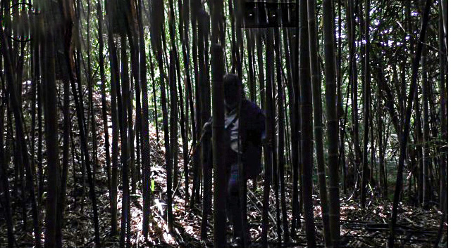 25 Le héros erre dans la forêt 1bis 231122.jpg