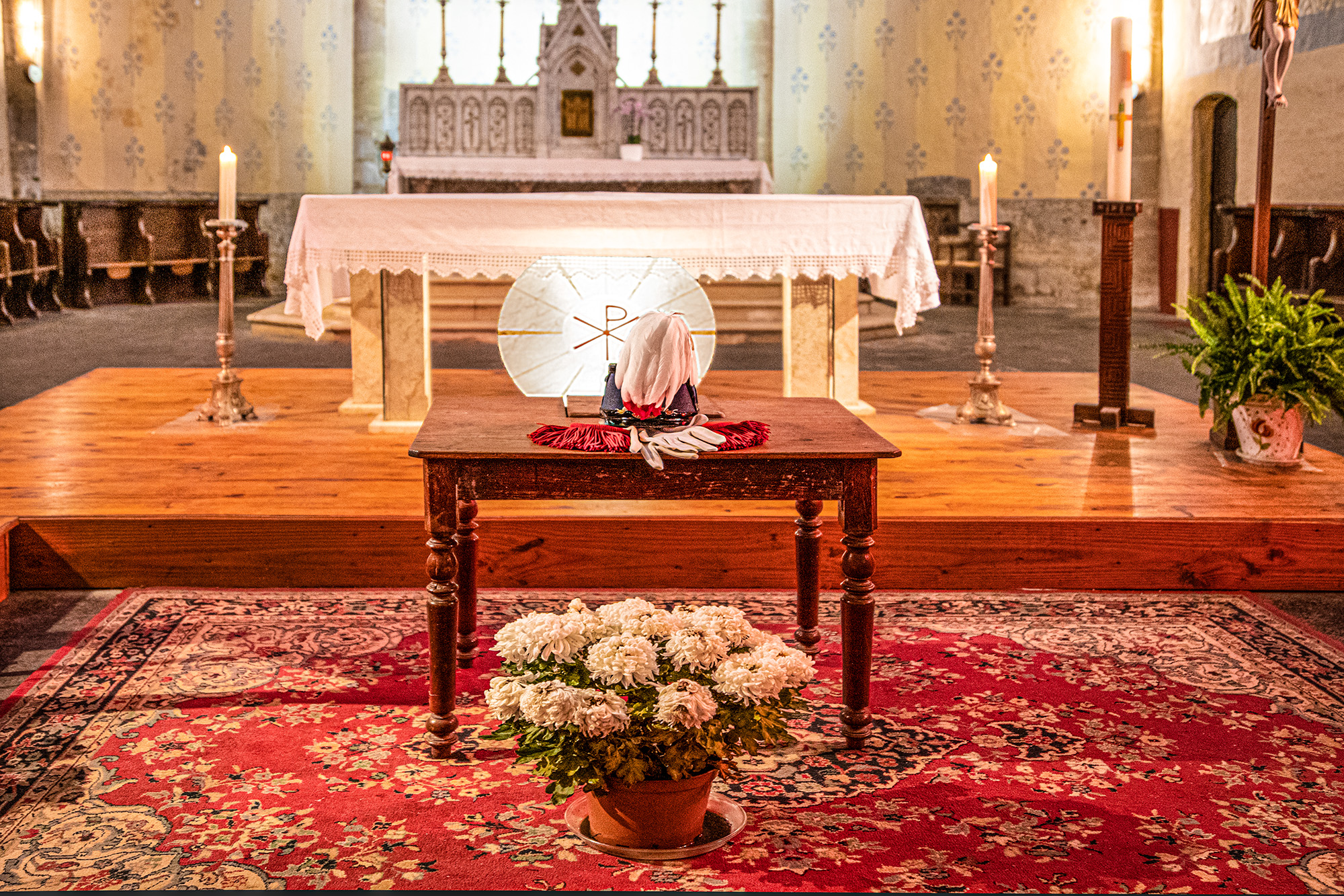 1 Le casoar en l'église sainte-Marie de Bassoues 1bis 031222.jpg
