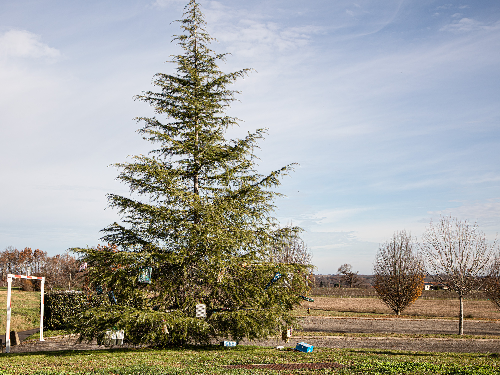 1 Le sapin de Bourrouillan 1bis 231222.jpg