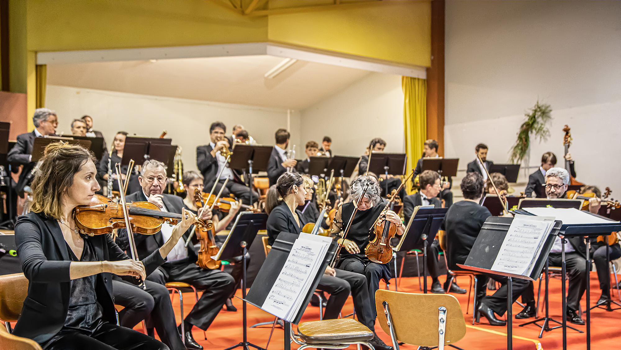 6 violons et alti 1bis 150123.jpg