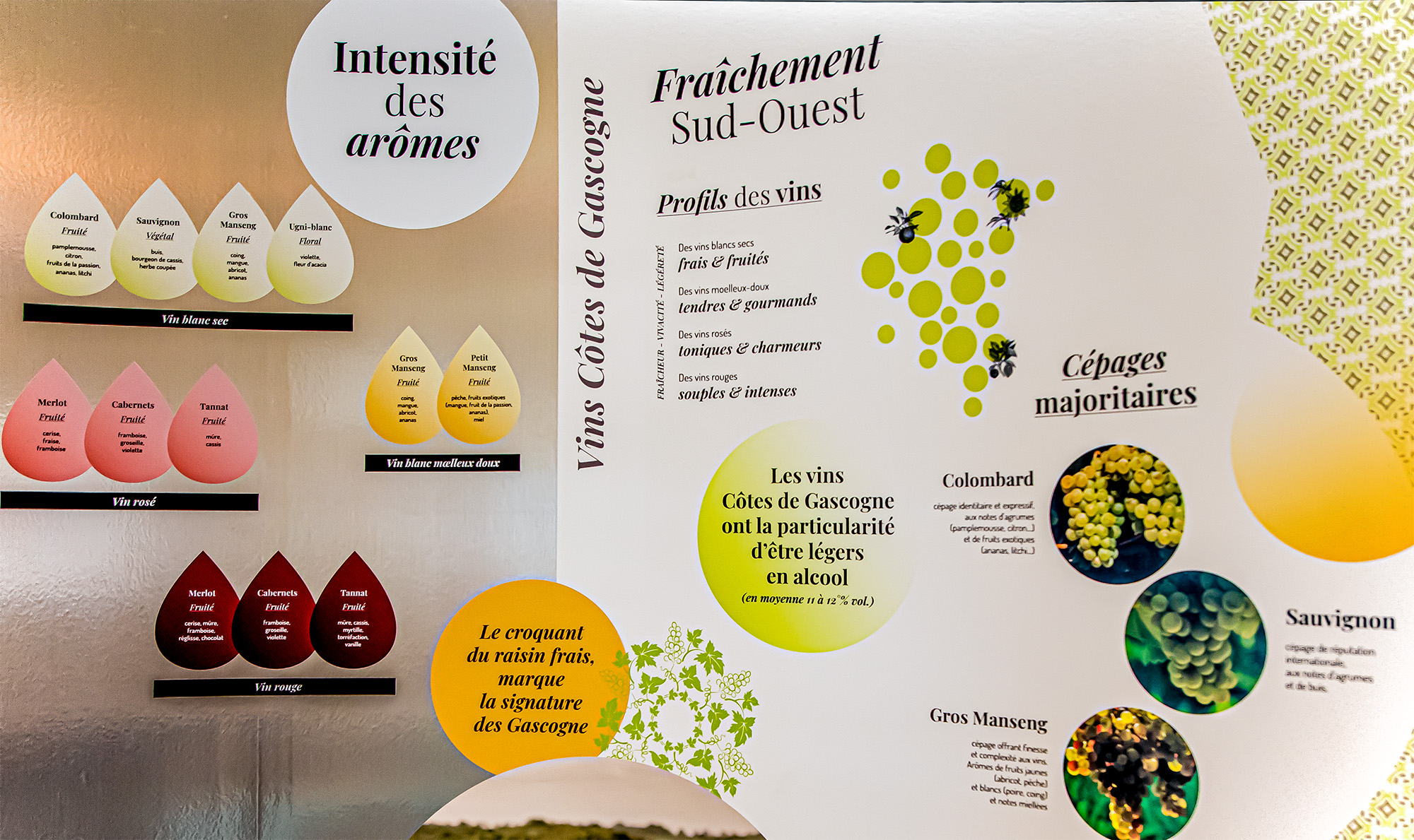 Autre panneau consacré aux Côtes de Gascogne à la Maison Gascogne Armagnac