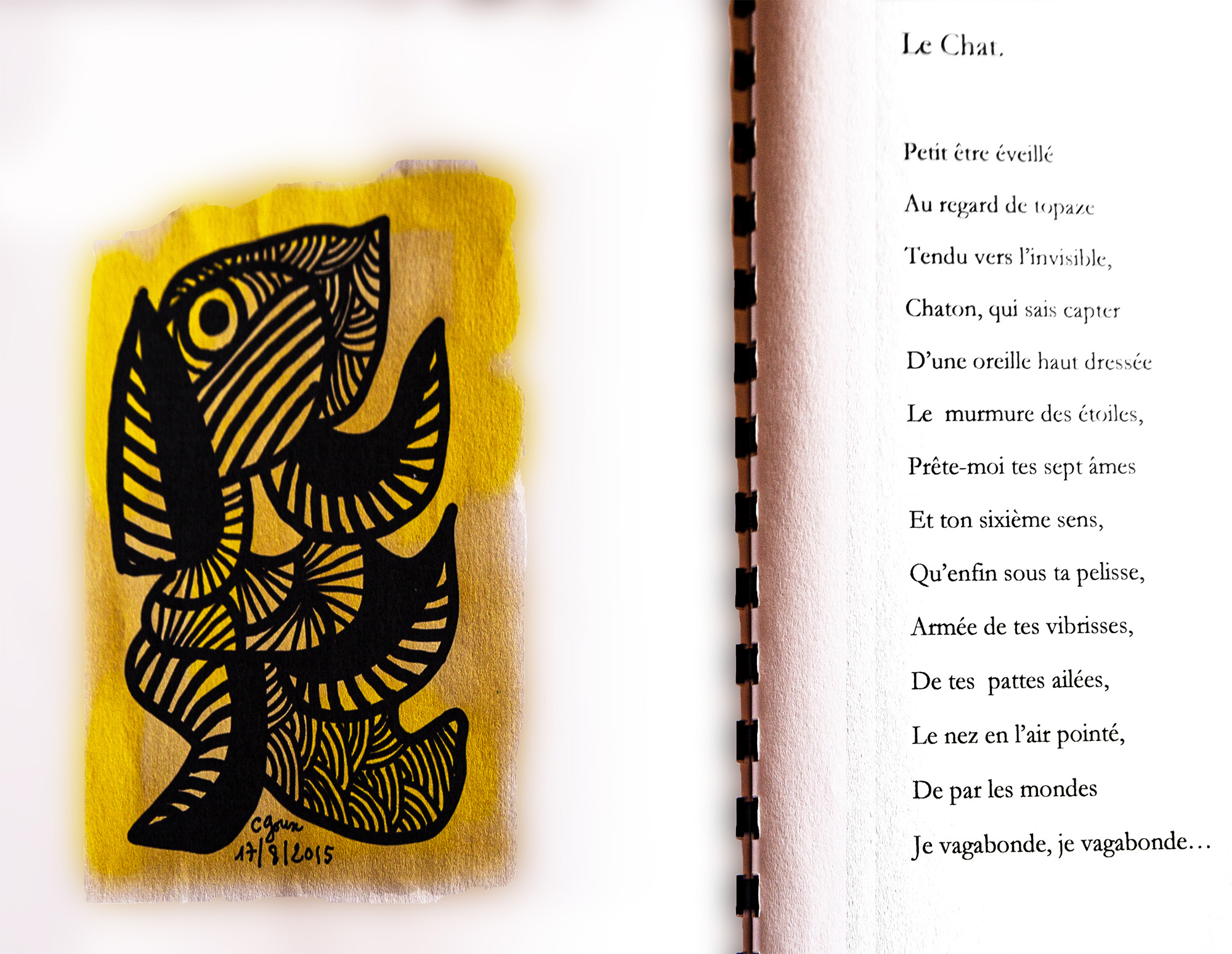 10 Le chat 1bis 300819.jpg