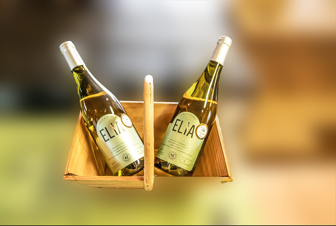 2 Deux bouteilles d'Elia Blanc à la boutiquedu chai d'Aignan 270223 copie.jpg