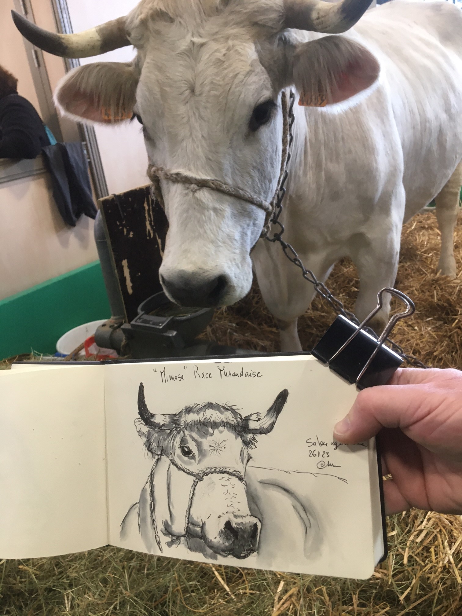 Elle a même été caricaturée !