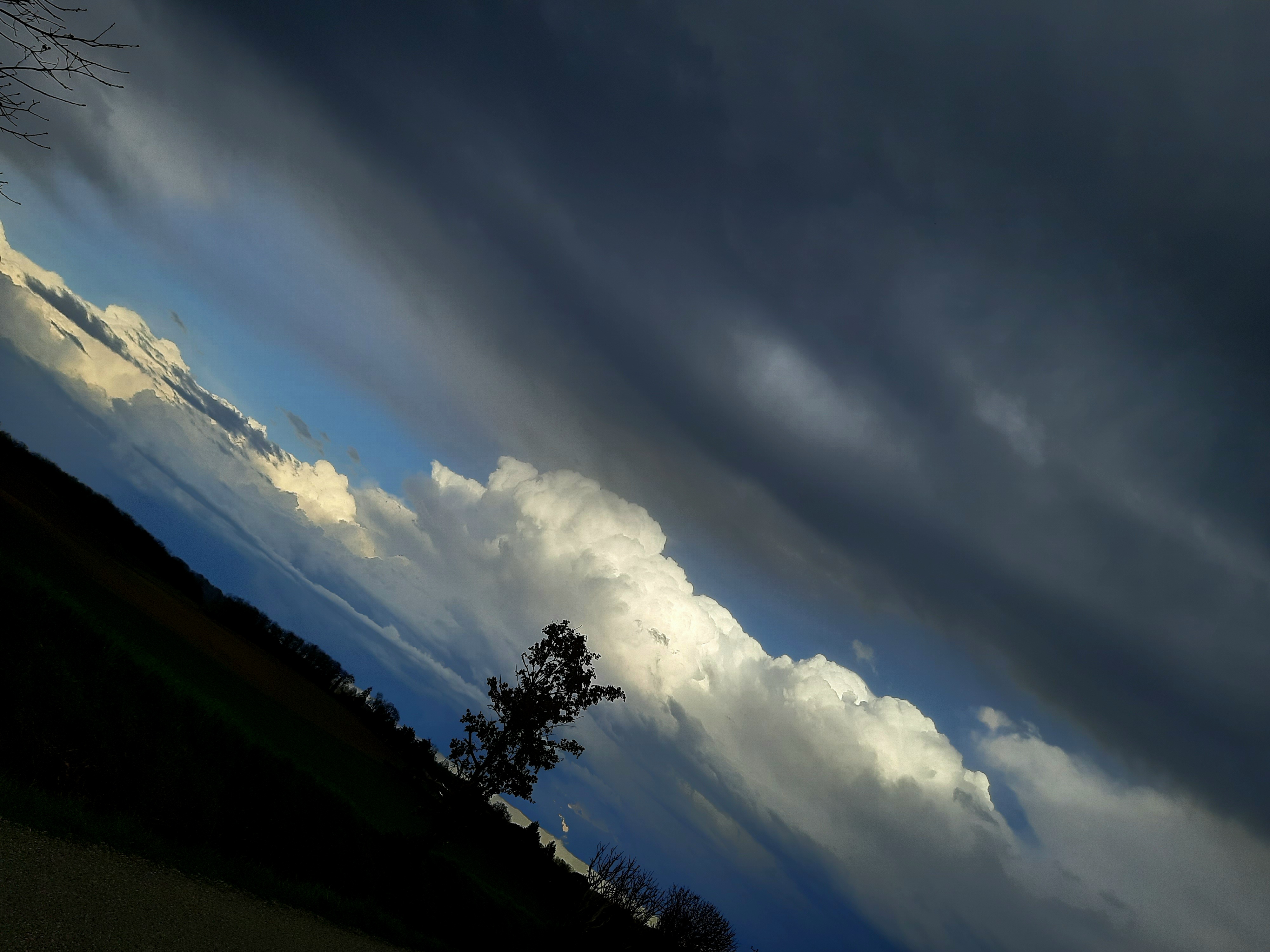 20230313_174954.jpg