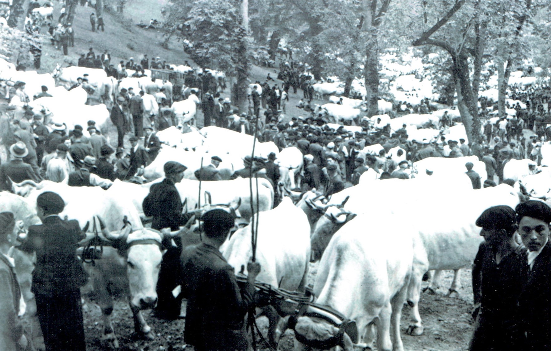 FOIRE 1954 (1).jpg