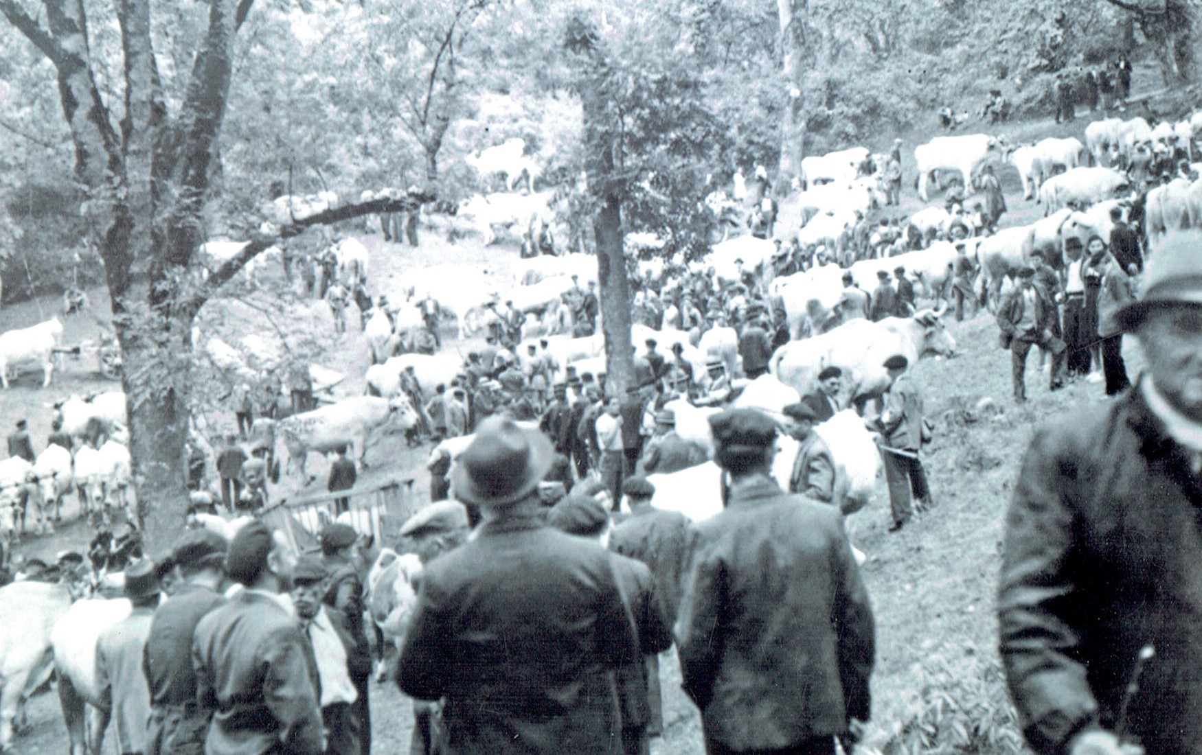 FOIRE 1954 (4).jpg