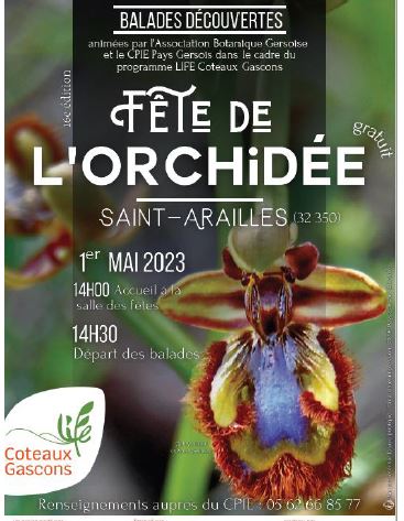 orchidees affiche.JPG