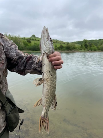 -5817199322272571408(1).jpg