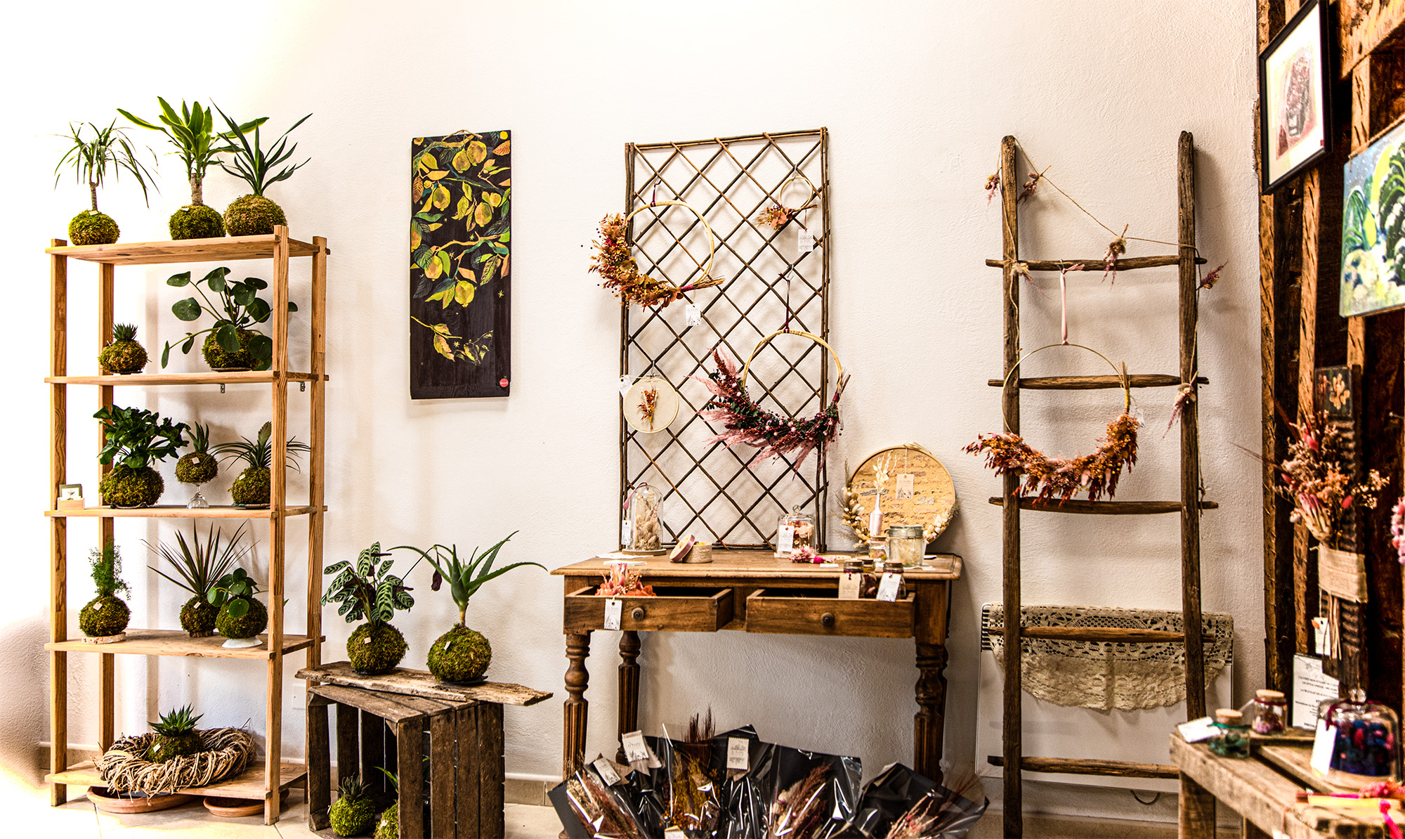 4 Mur avec fleurs séchéespeintures et plantes1bis 090523.jpg