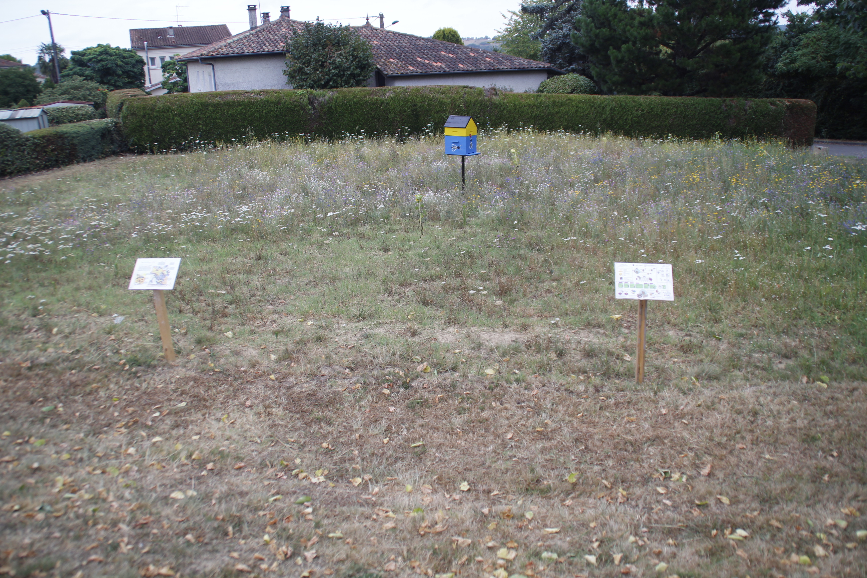 Biodiversite La Tourette 23072022 (2).JPG