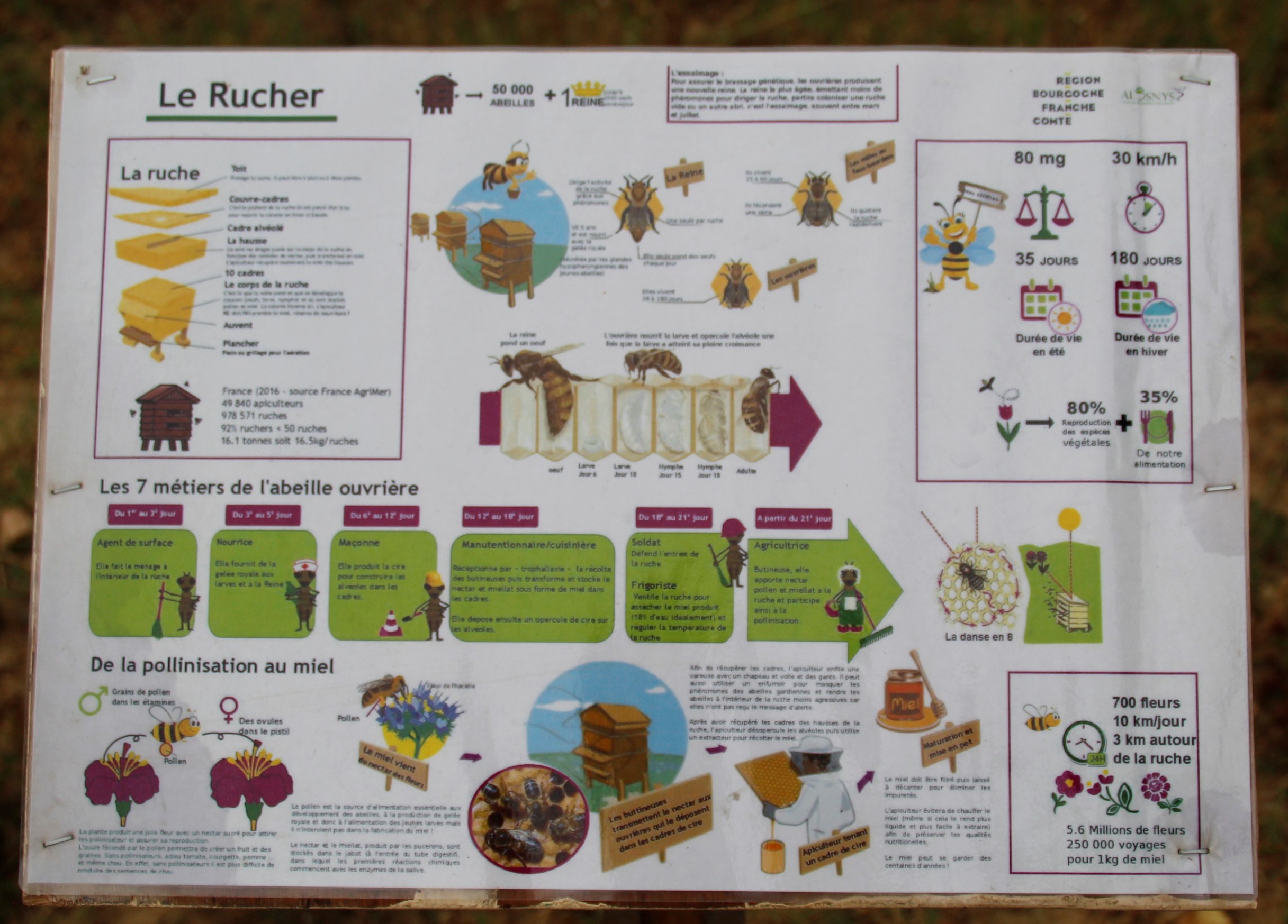 Biodiversite La Tourette 23072022 (3).JPG