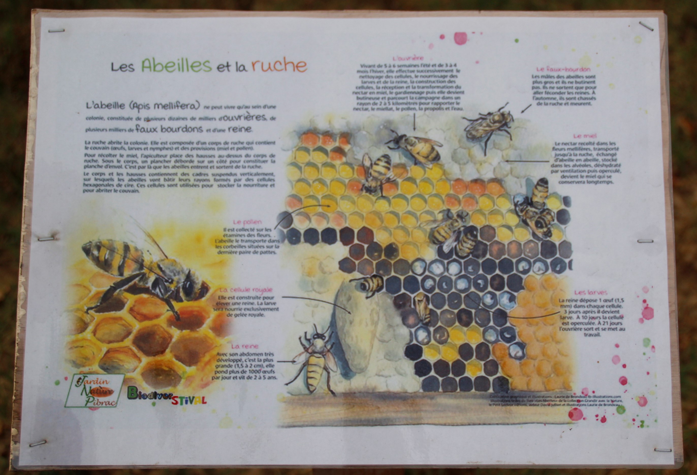 Biodiversite La Tourette 23072022 (5).JPG