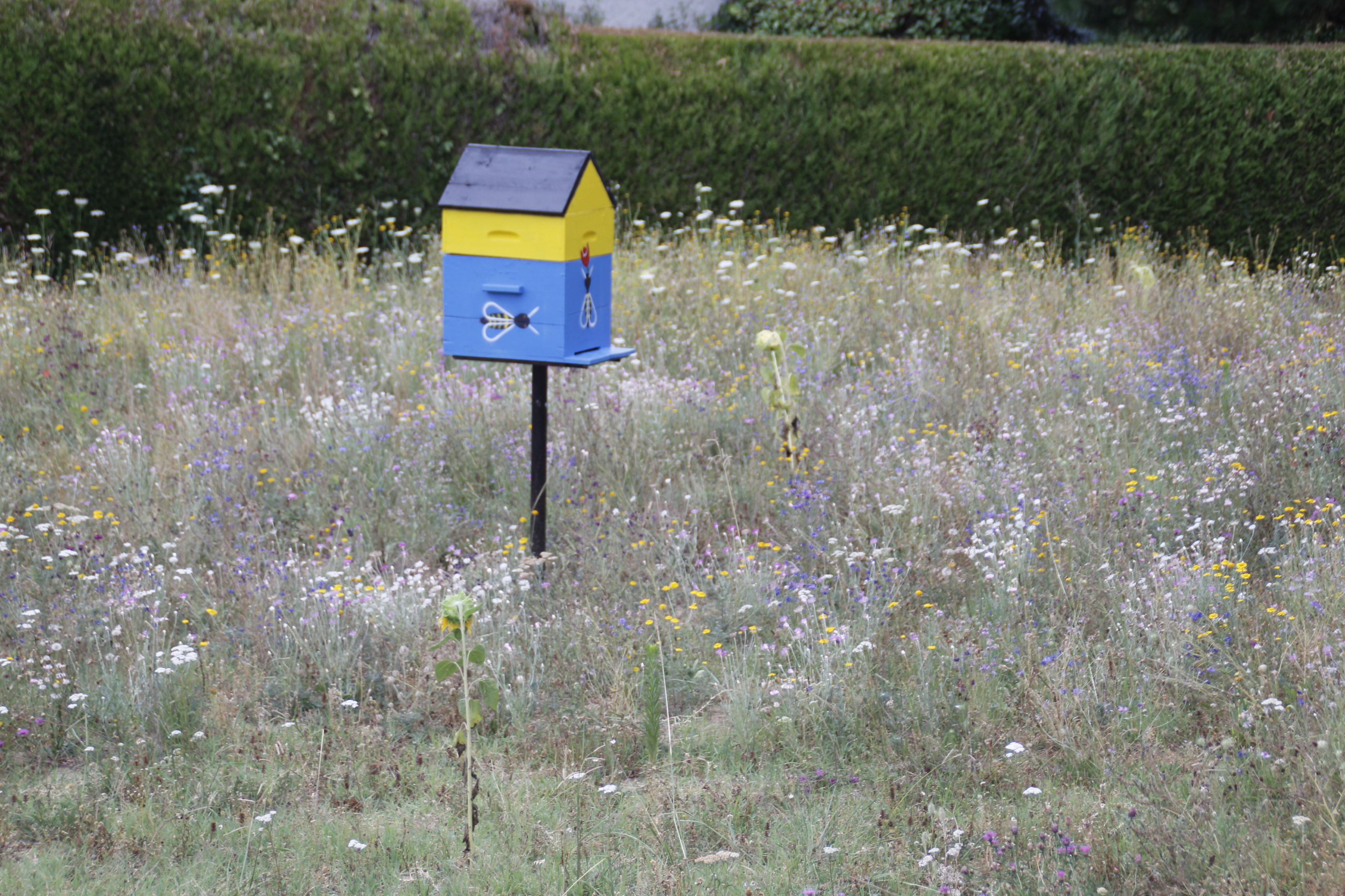 Biodiversite La Tourette 23072022 (12).JPG