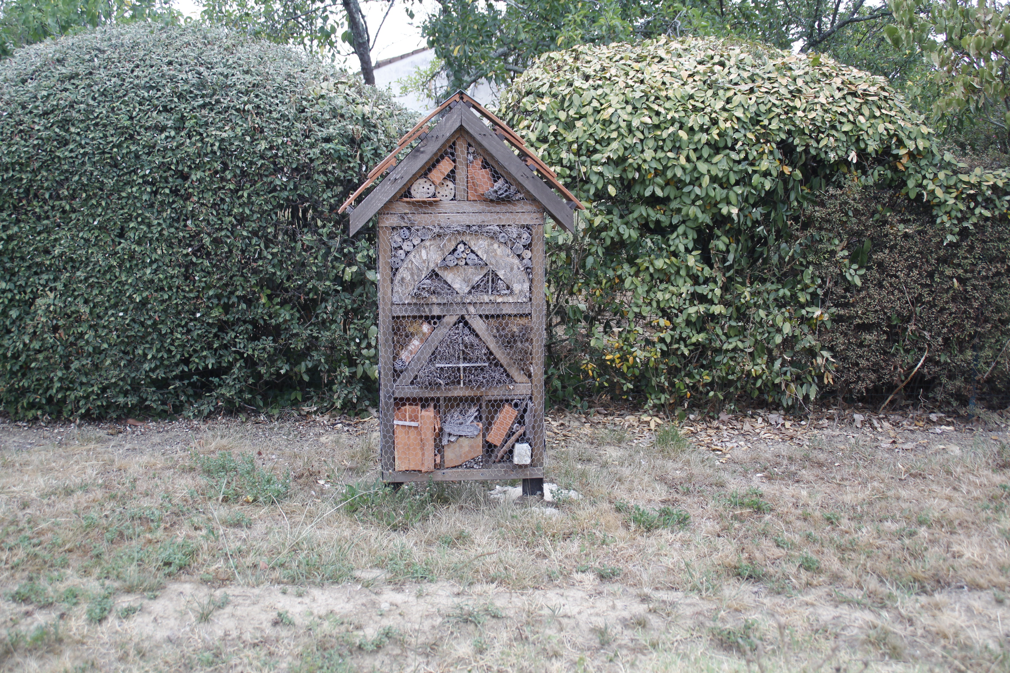 Biodiversite La Tourette 23072022 (9).JPG