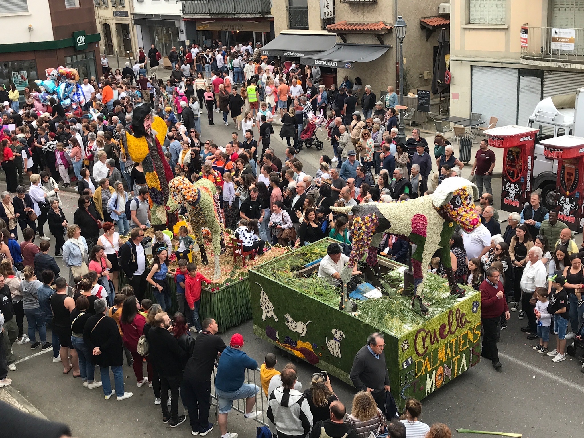RISCLE FETE DES FLEURS IMG_3103 JPEG.jpg