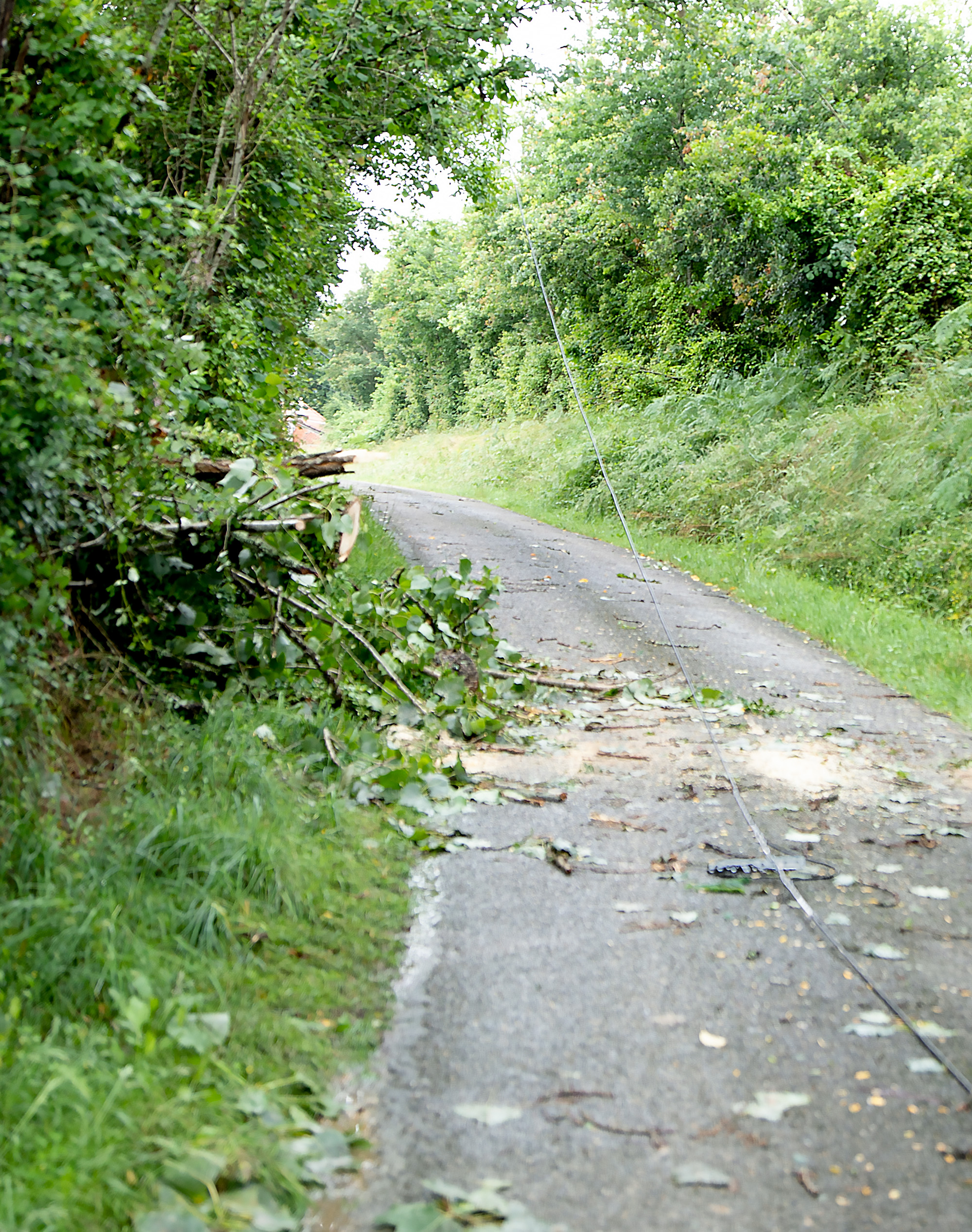 14 Un câble traverse le chemin de la gare de Fustérouau 1bis 220623.jpg