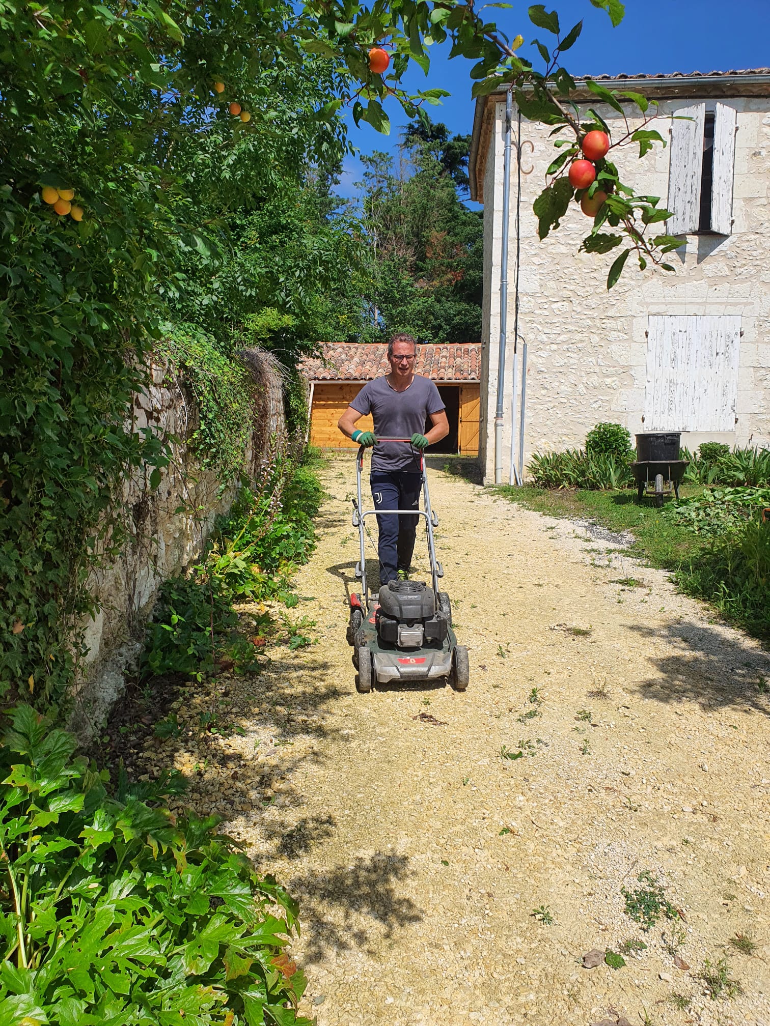 Journee citoyenne 3.jpg