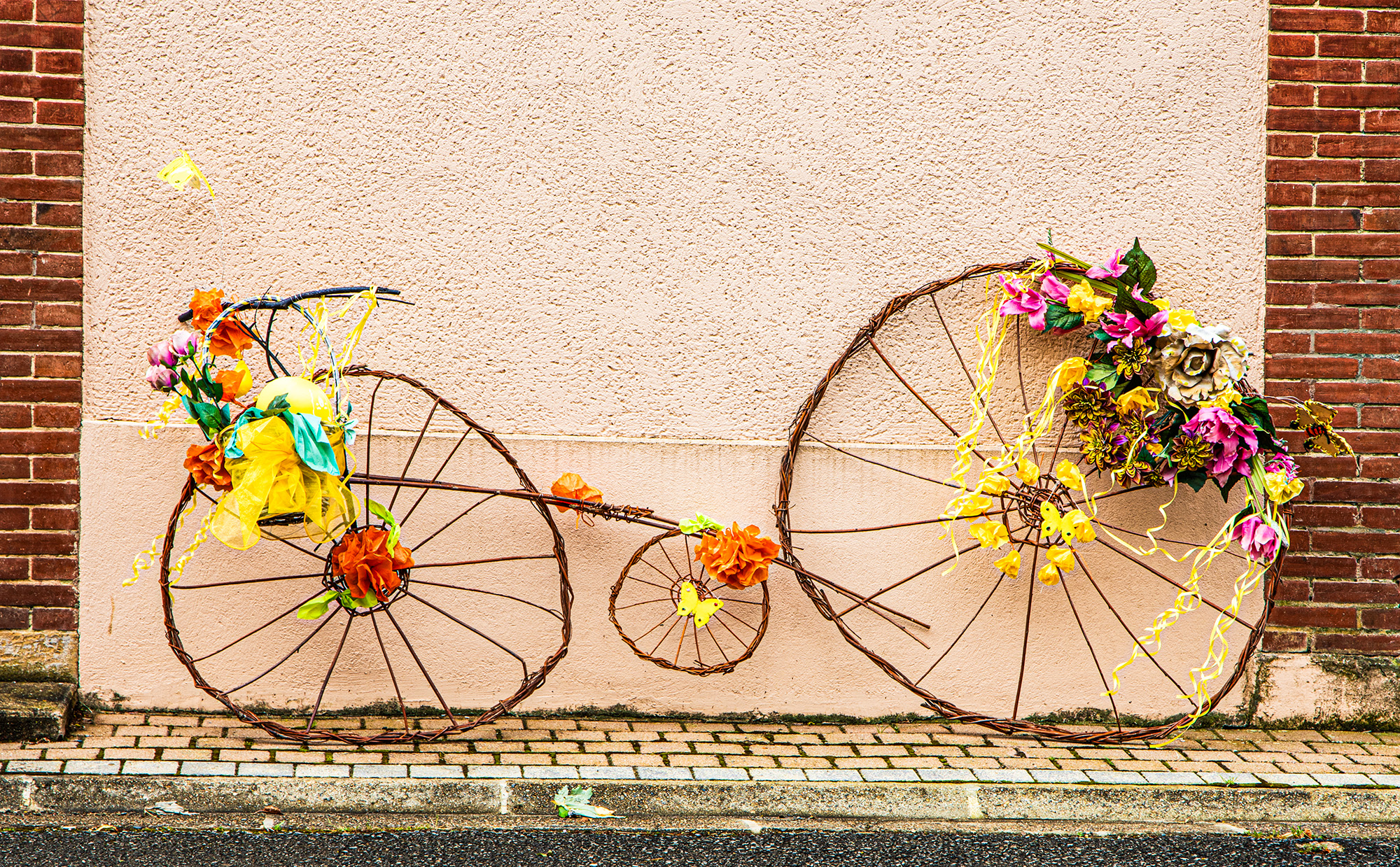 4 Vélo tresséBandas et vélos dans un défilé humoristique.jpg