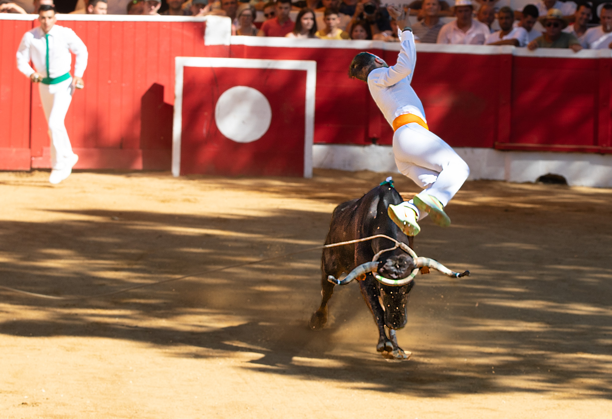 3 Saut 1bis 140723.jpg