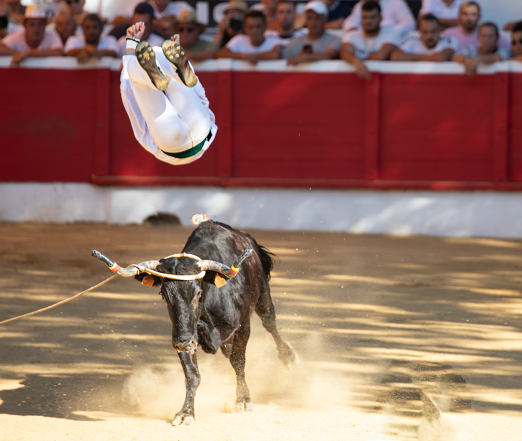 11 Saut 1bis 140723.jpg