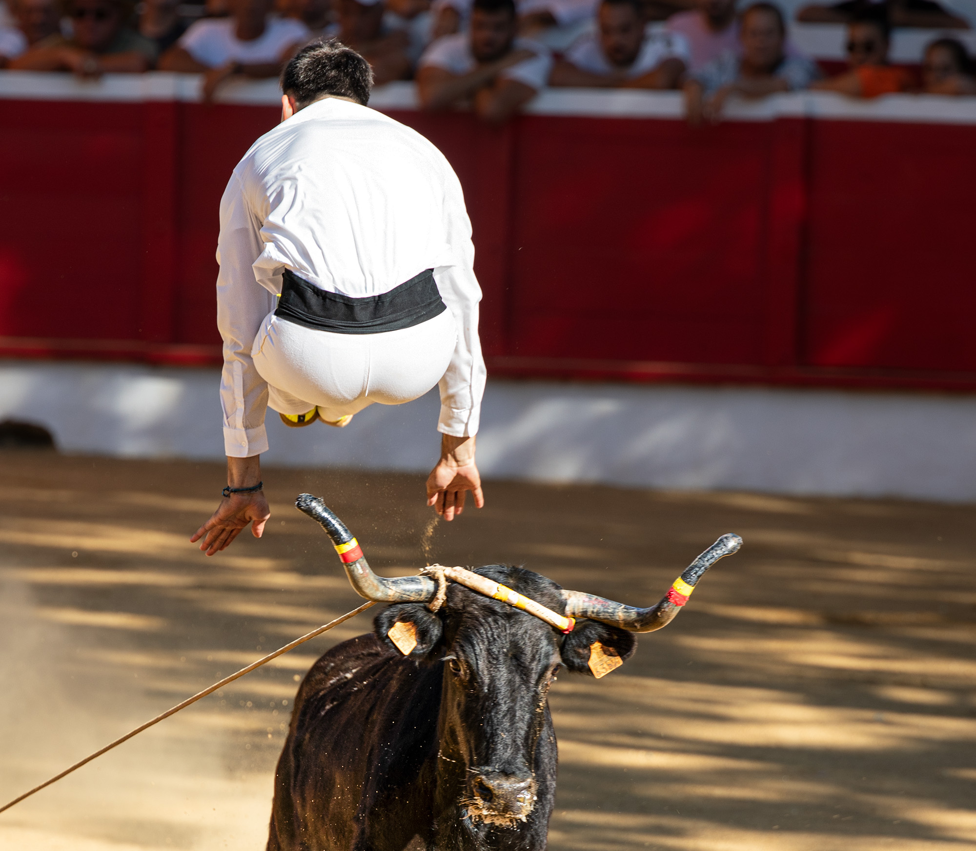 12 Saut 1bis 140723.jpg