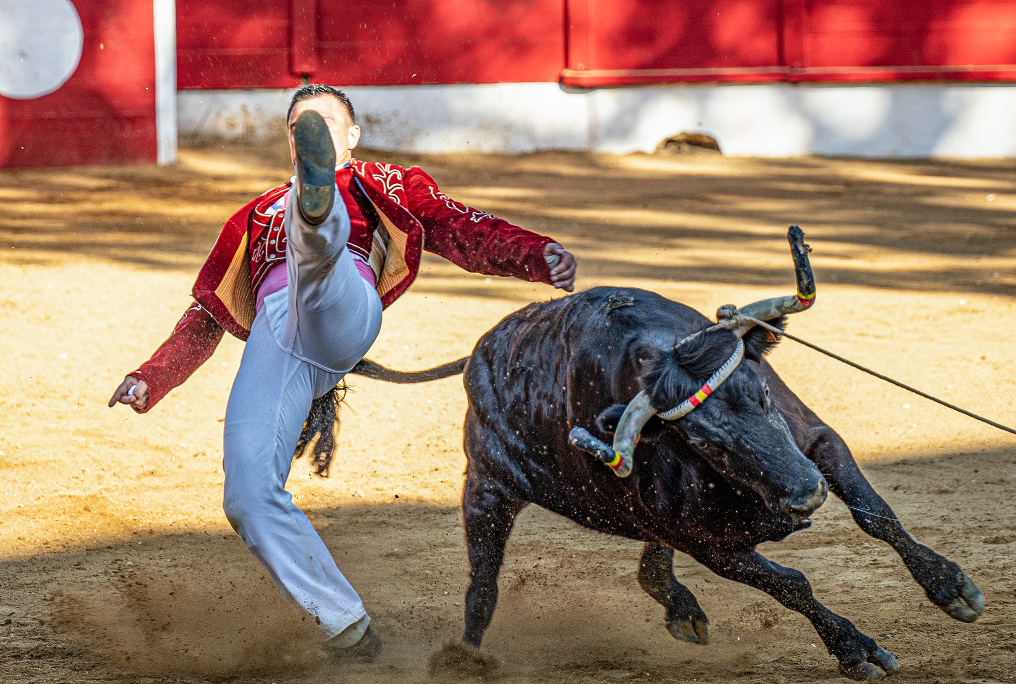 34 Bousculade 1bis 140723.jpg