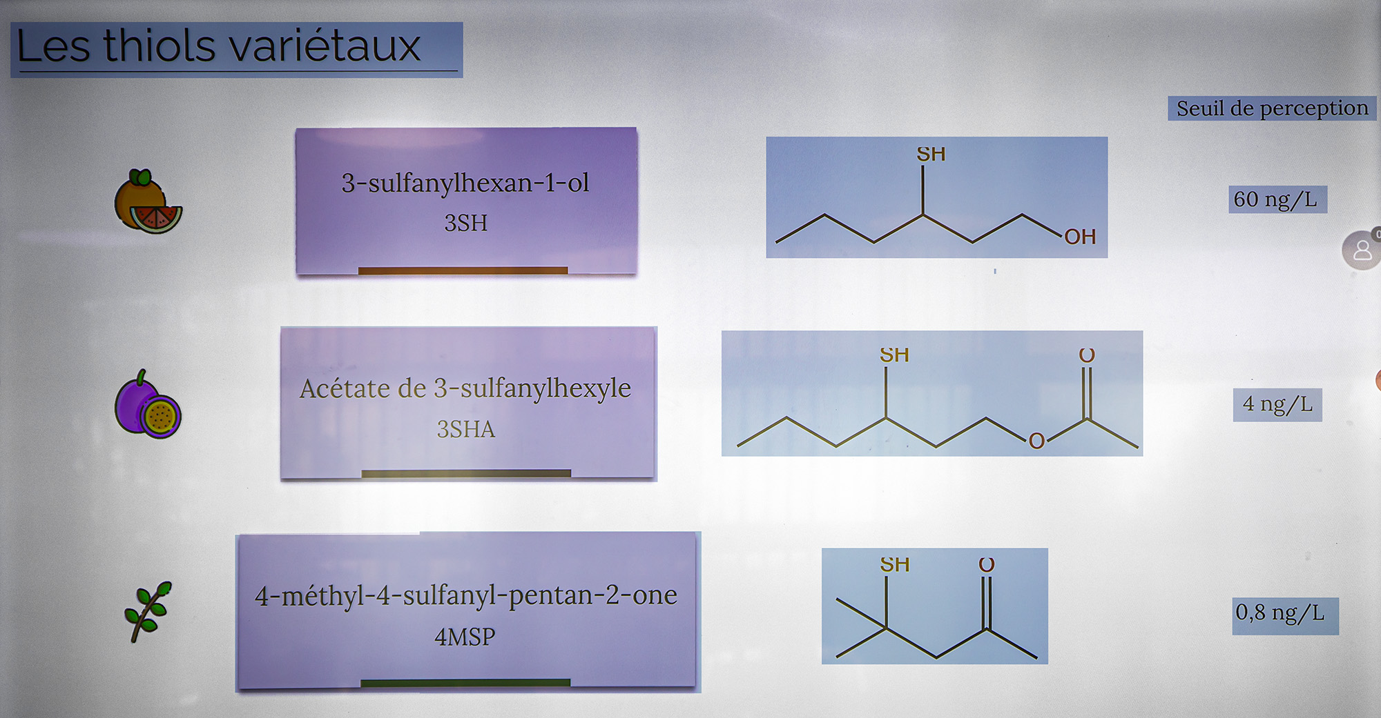 17 Les thiols variétaux par Gabriel Dournes 1bis 130723.jpg