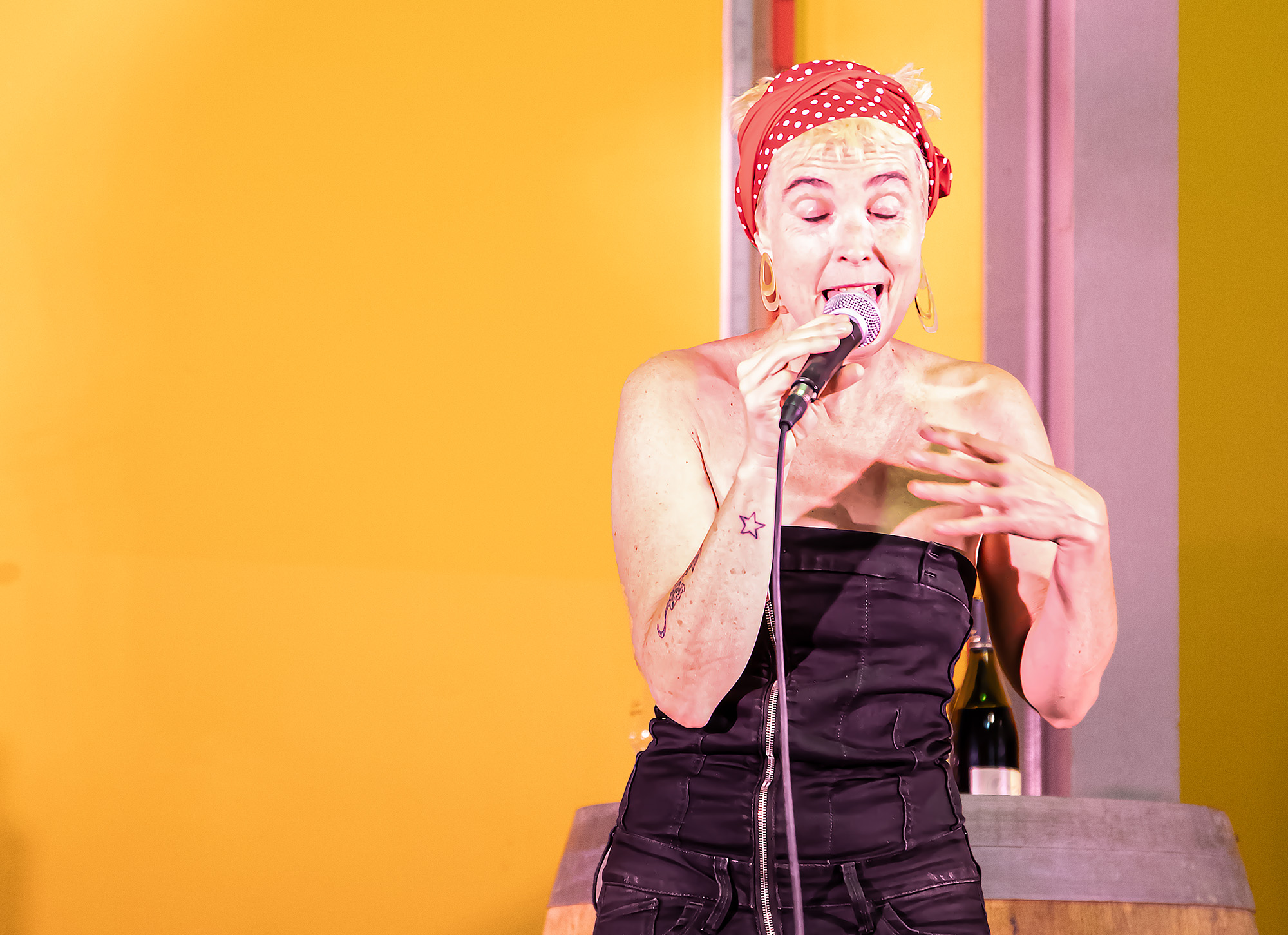7 Marie Delmarès chante 1bis 140723.jpg