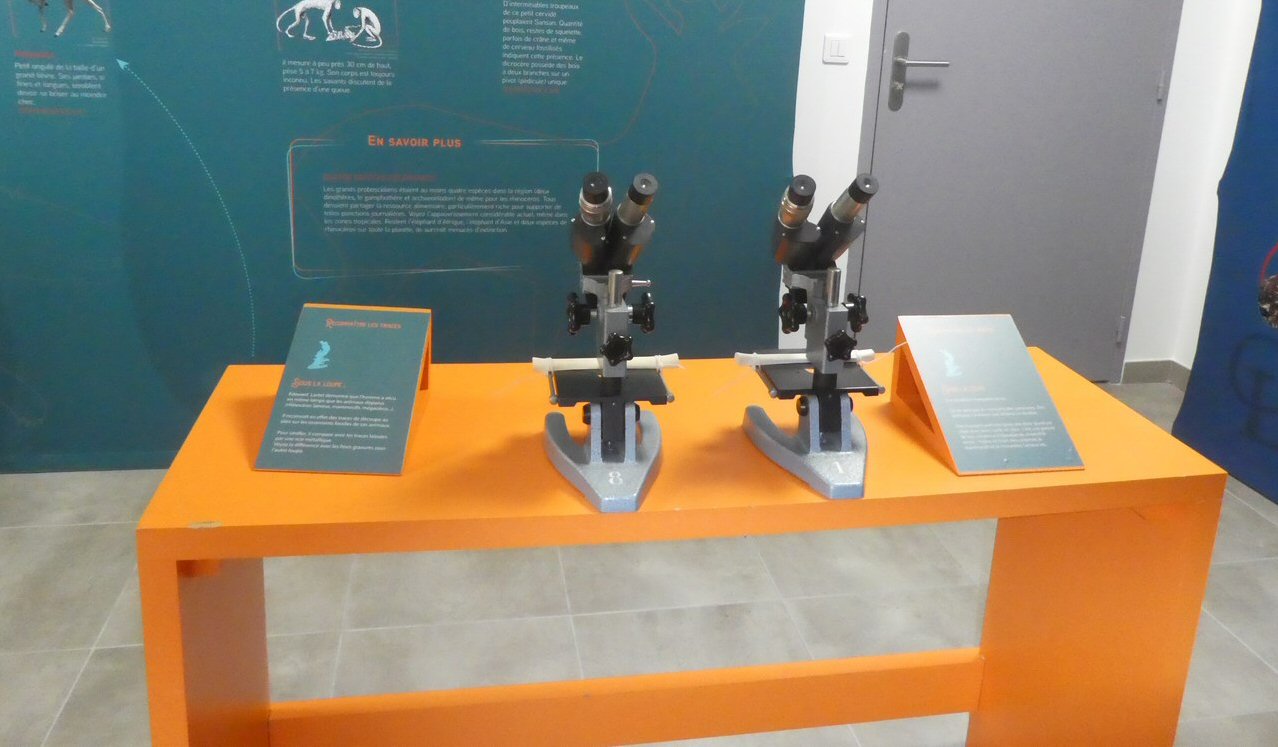 P1140244 (Copier).JPG