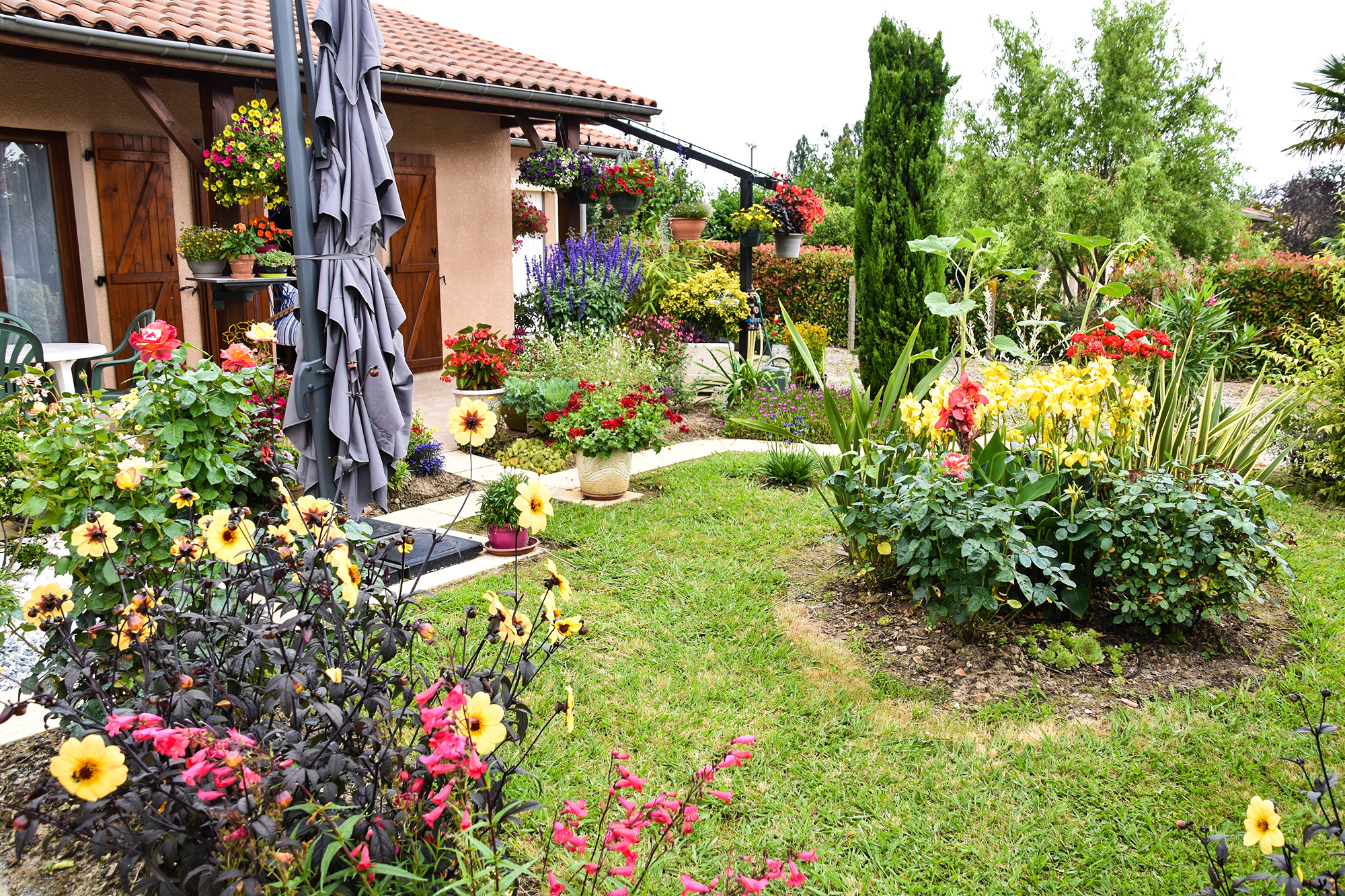 DR MMartinot jardin 1bis 260623.jpg
