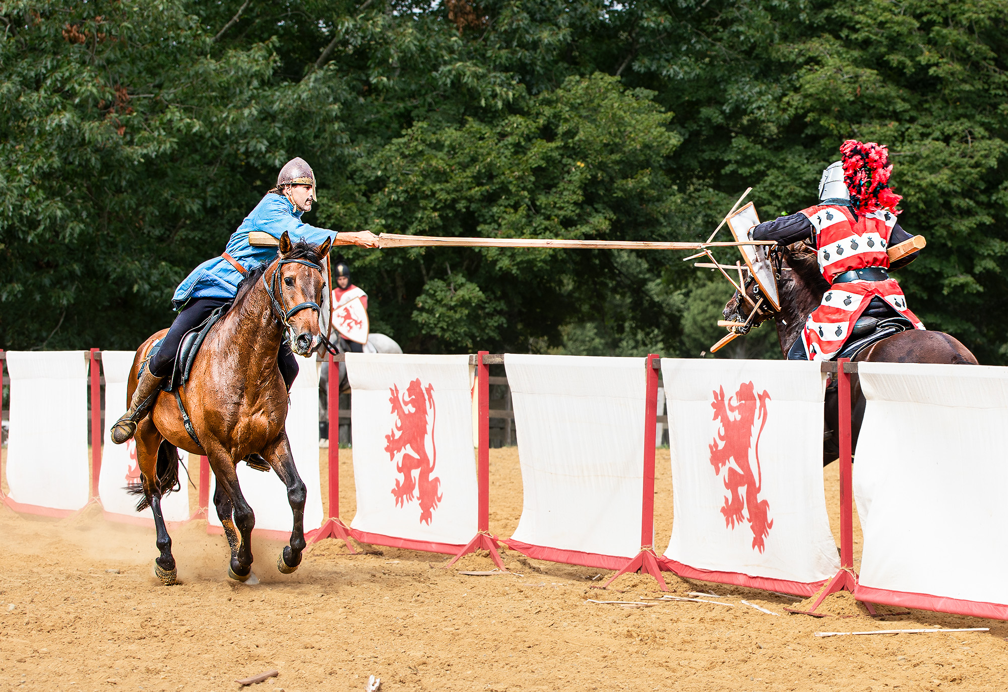 15 Le chevalier bleu touche 1bis 050823.jpg