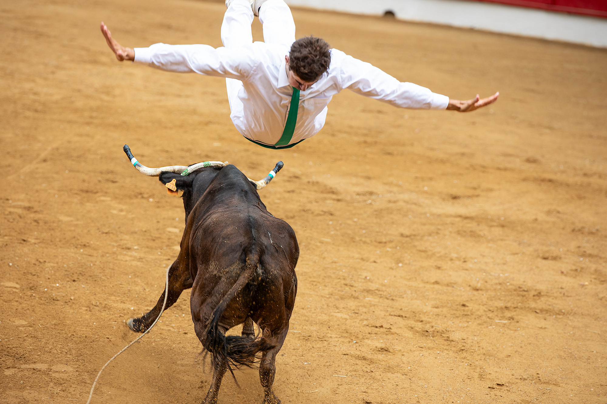 8 Saut 140823.jpg