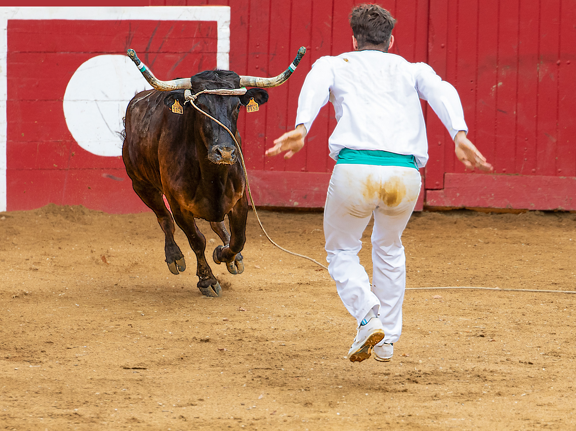 12 Homme contre bête 1bis 150823.jpg