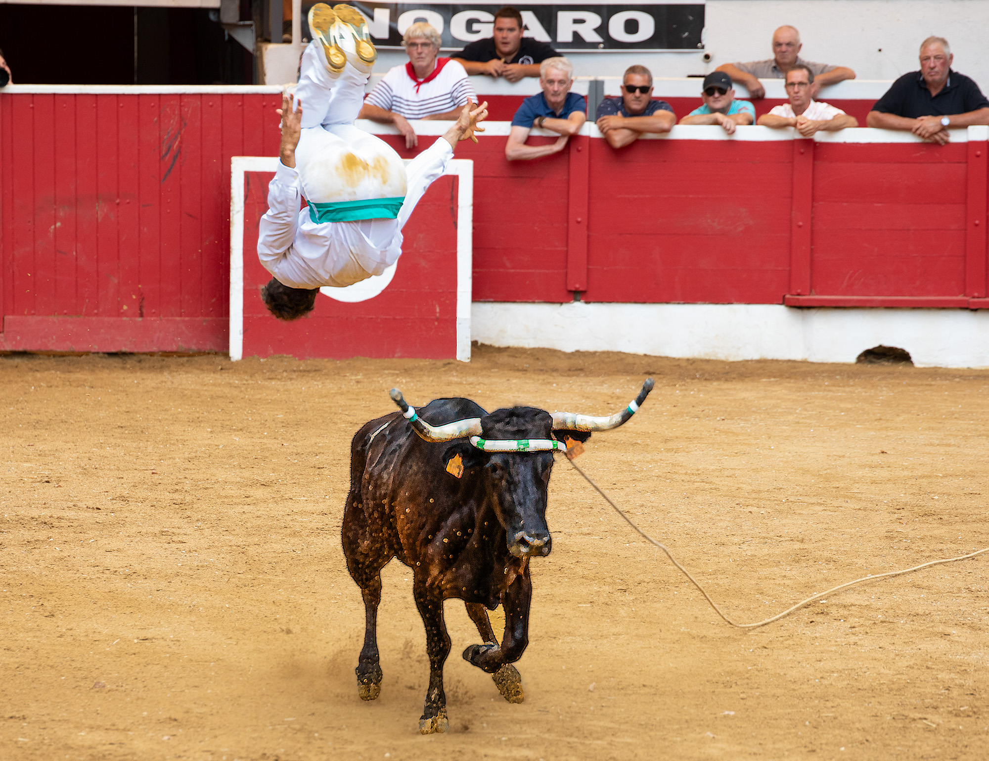 13 Saut périlleux 1bis 150823.jpg