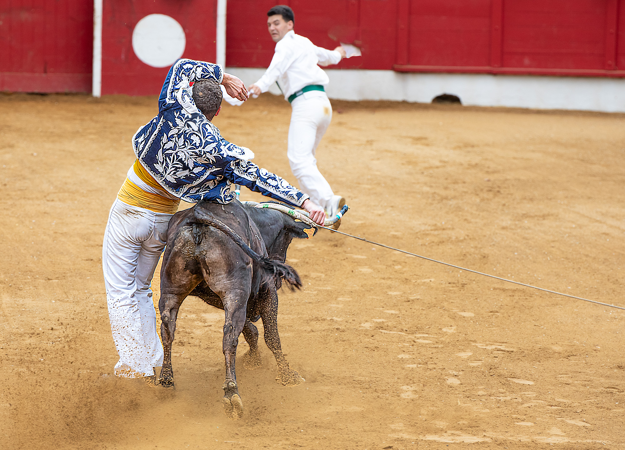 29 Ecart de dos 1bis 150823.jpg