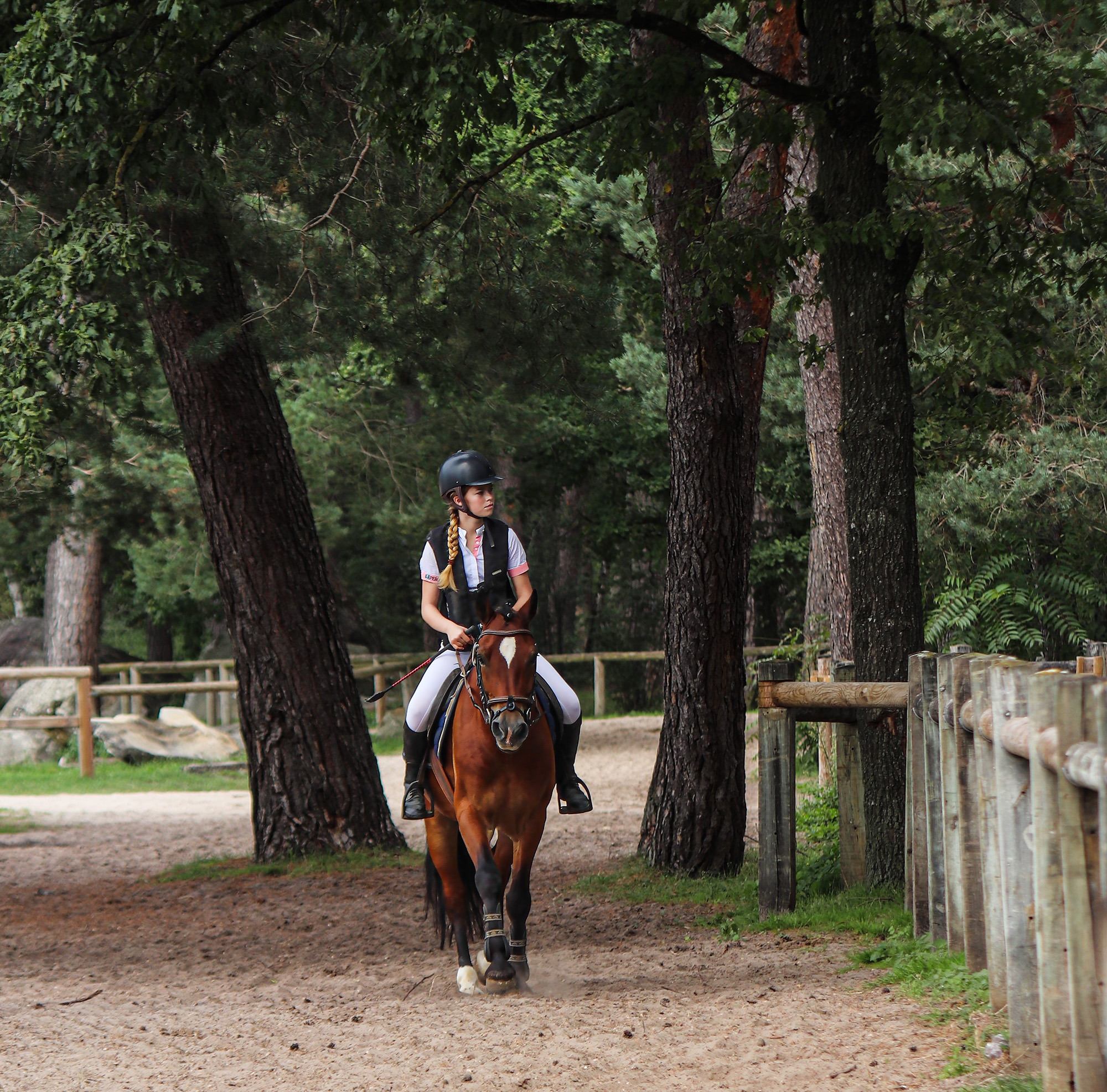 DR1 Agathe VDC en concours 1bis.JPG