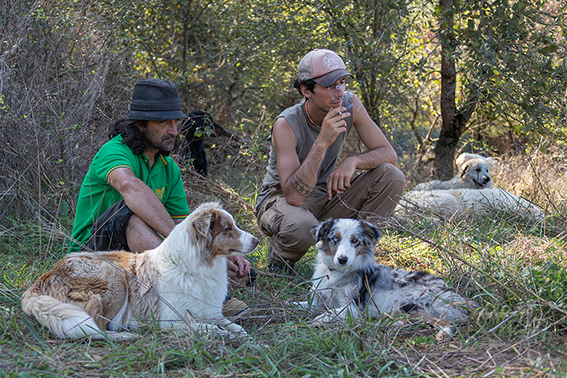 _MG_2924 deux bergers avec leurs chiens.jpg