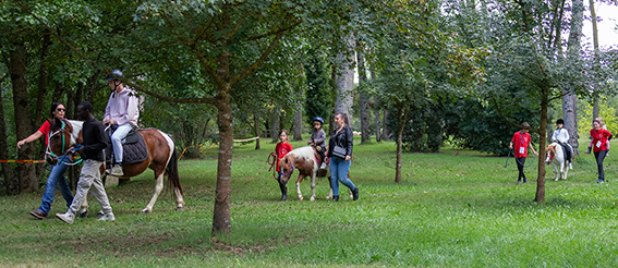 balade à cheval pour les petits (002).jpg