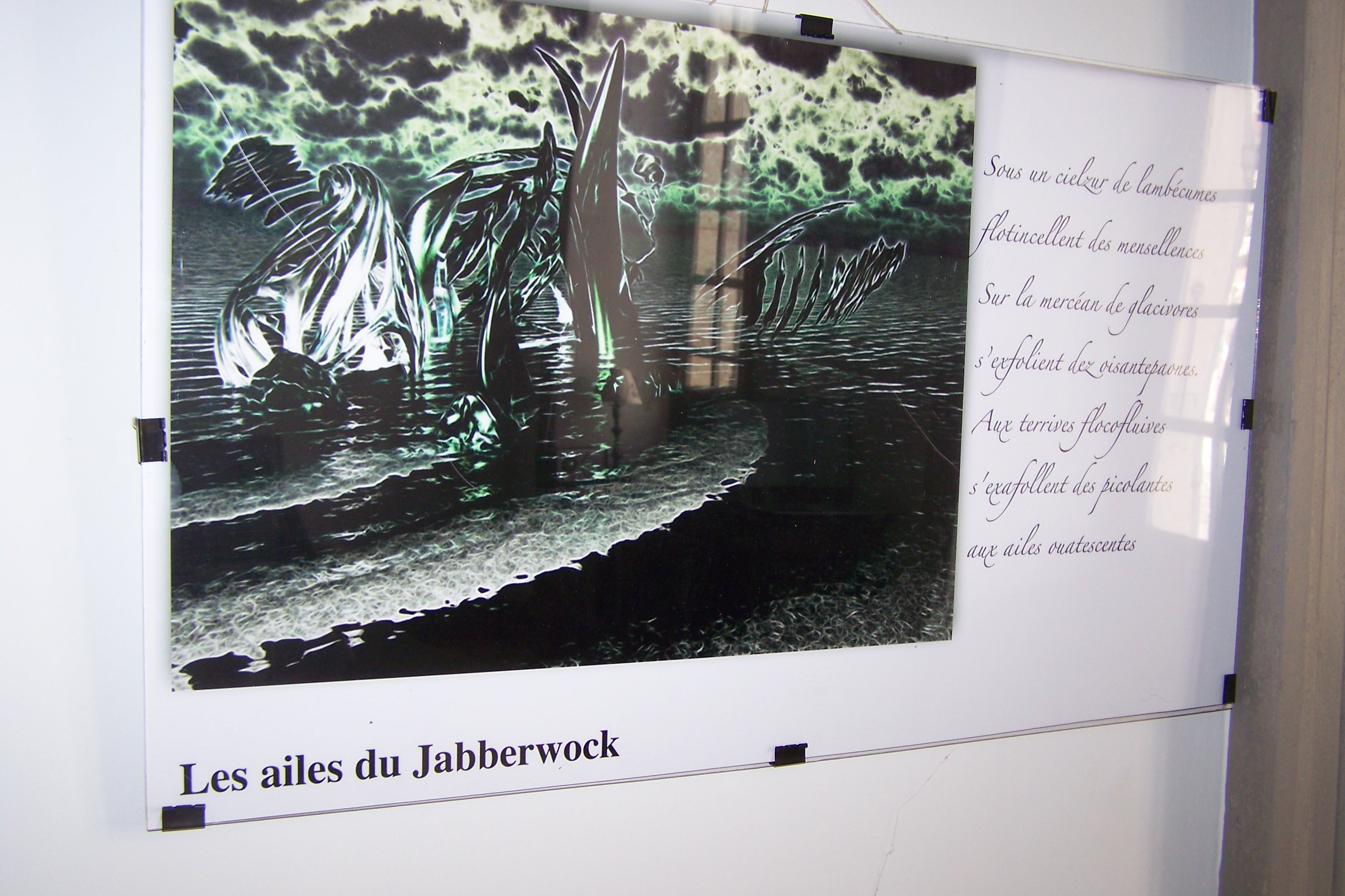 100_3479 - Copie.JPG
