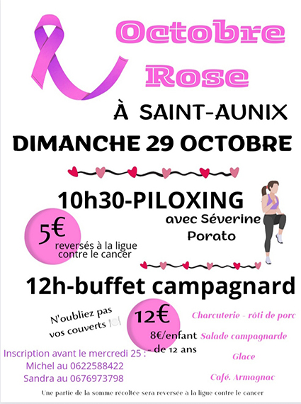 st aunix ligue 2.jpg