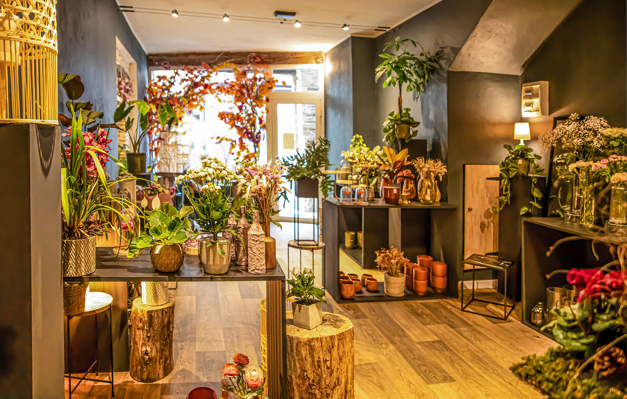 4 Le magasin vu du fond 1bis 201023.jpg