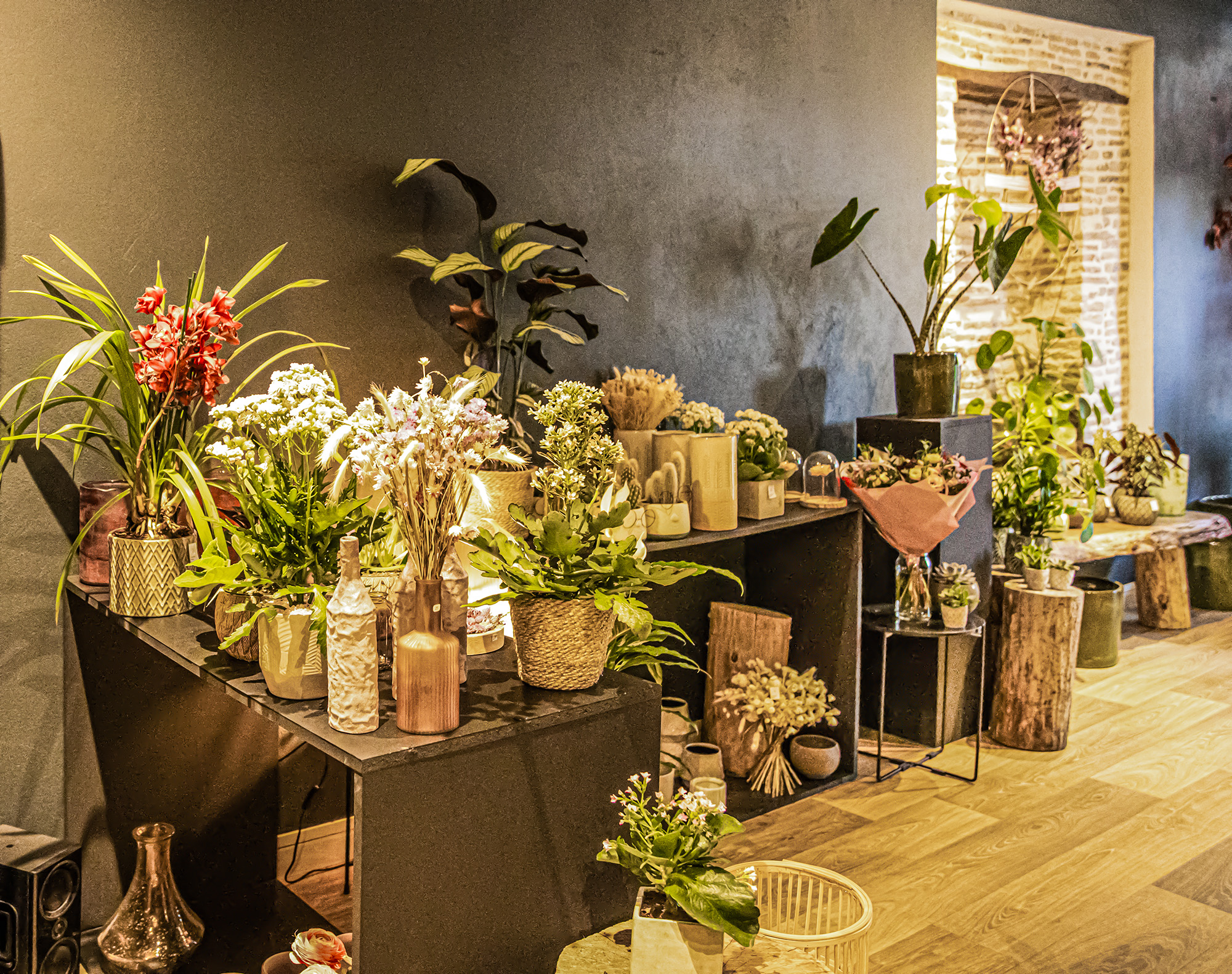 6 Plantes vases et objets de décoration 1bis 201023.jpg
