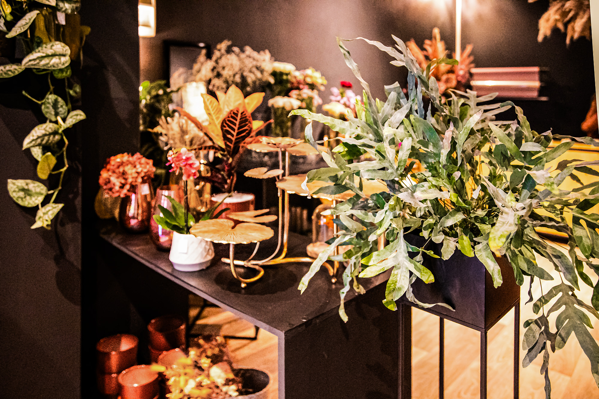 7 Plantes vases et objets de décoration 1bis 201023.jpg