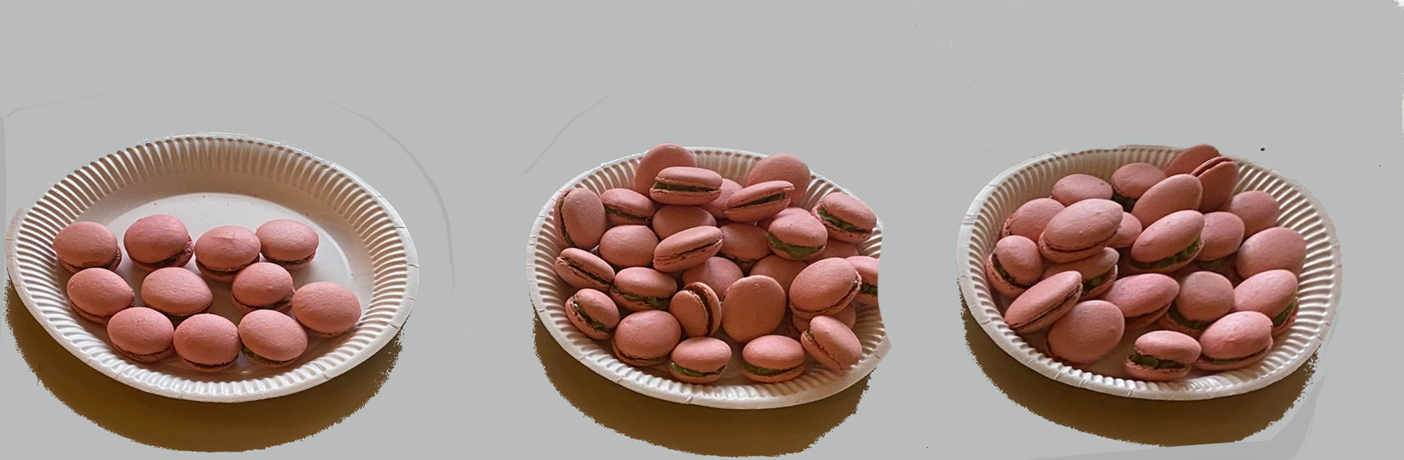 4 DR2 Les macarons de la Ferme aux buffles 1bis 301023.jpg