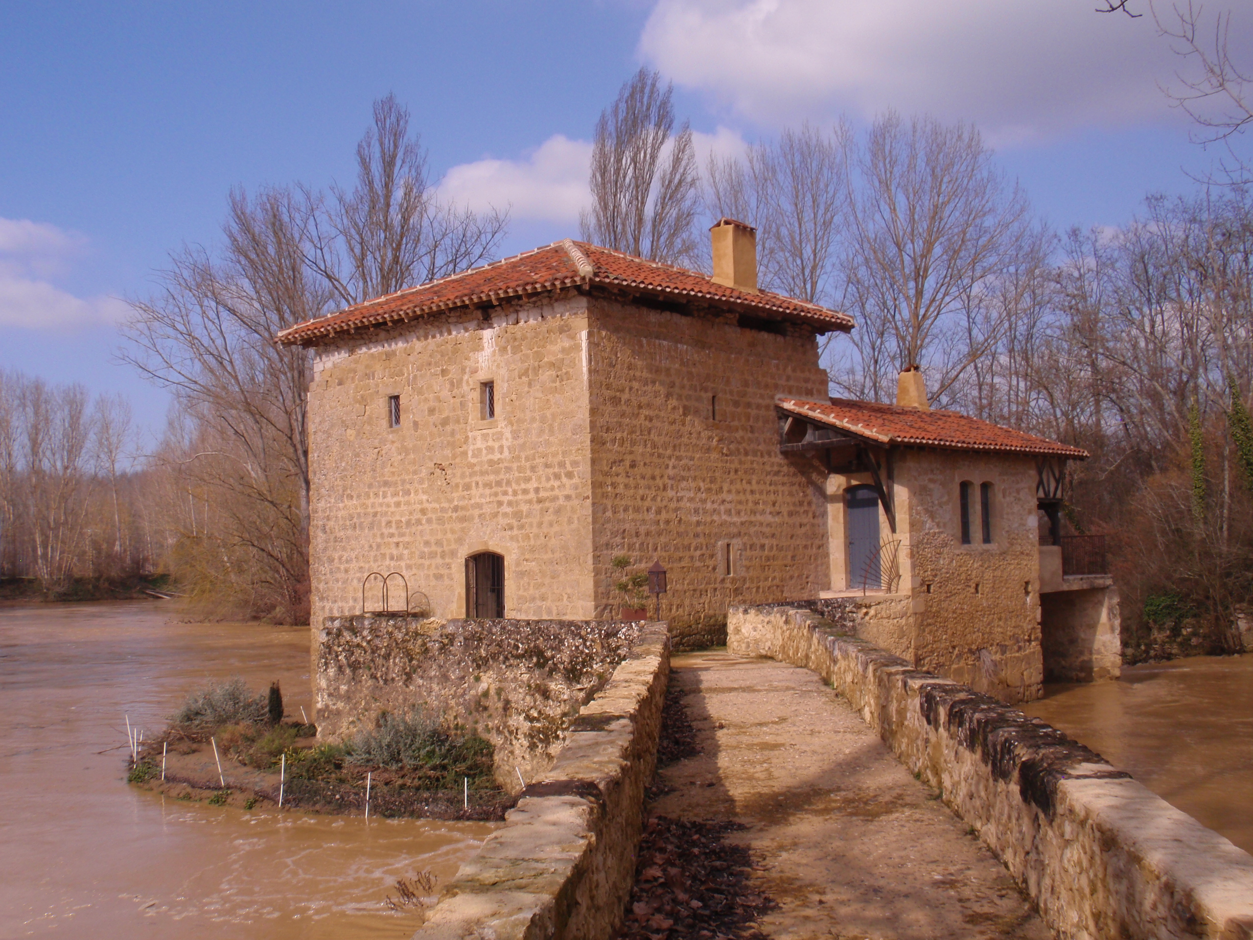 P2210108(1).JPG